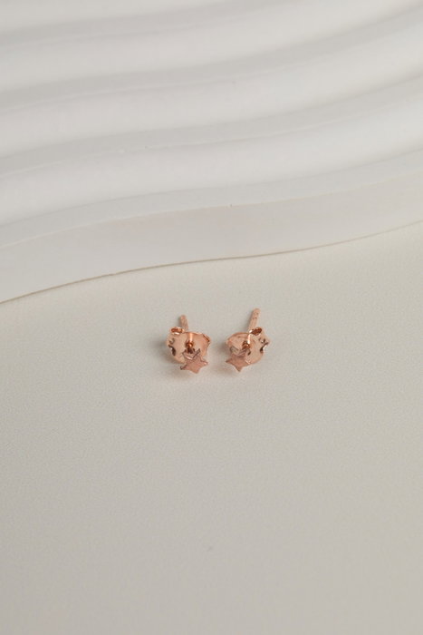 Heliophilia Silver Pendientes en Plata de Ley 925 - Rosa